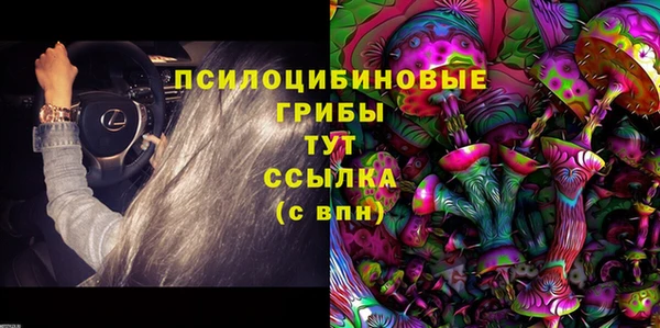 PSILOCYBIN Баксан