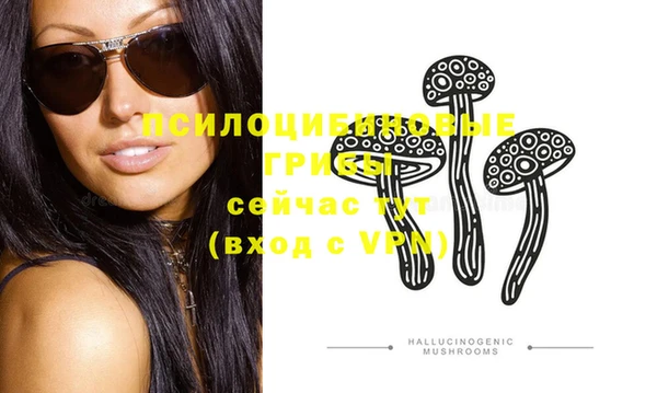 PSILOCYBIN Баксан
