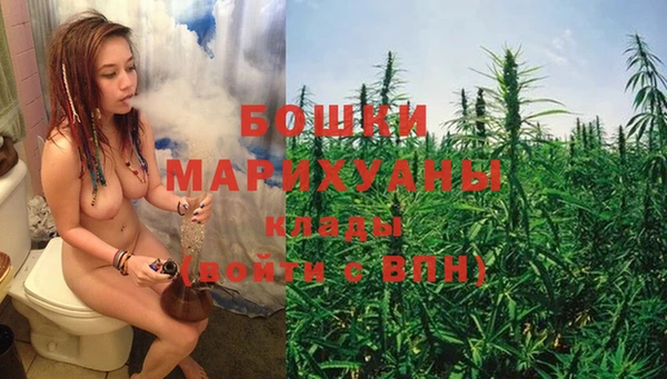 PSILOCYBIN Баксан