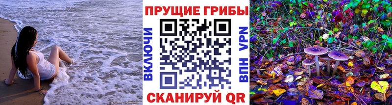 Псилоцибиновые грибы Magic Shrooms  Красноармейск 